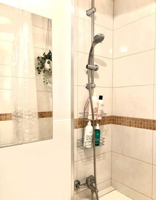 Miejskie Mieszkanie Apartament
